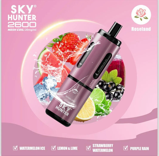 4 in 1 Sky Hunter 2600 Puffs Disposable Vape Pod Kit - 20MG